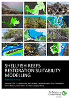 Shellfish reef restoration technical manual