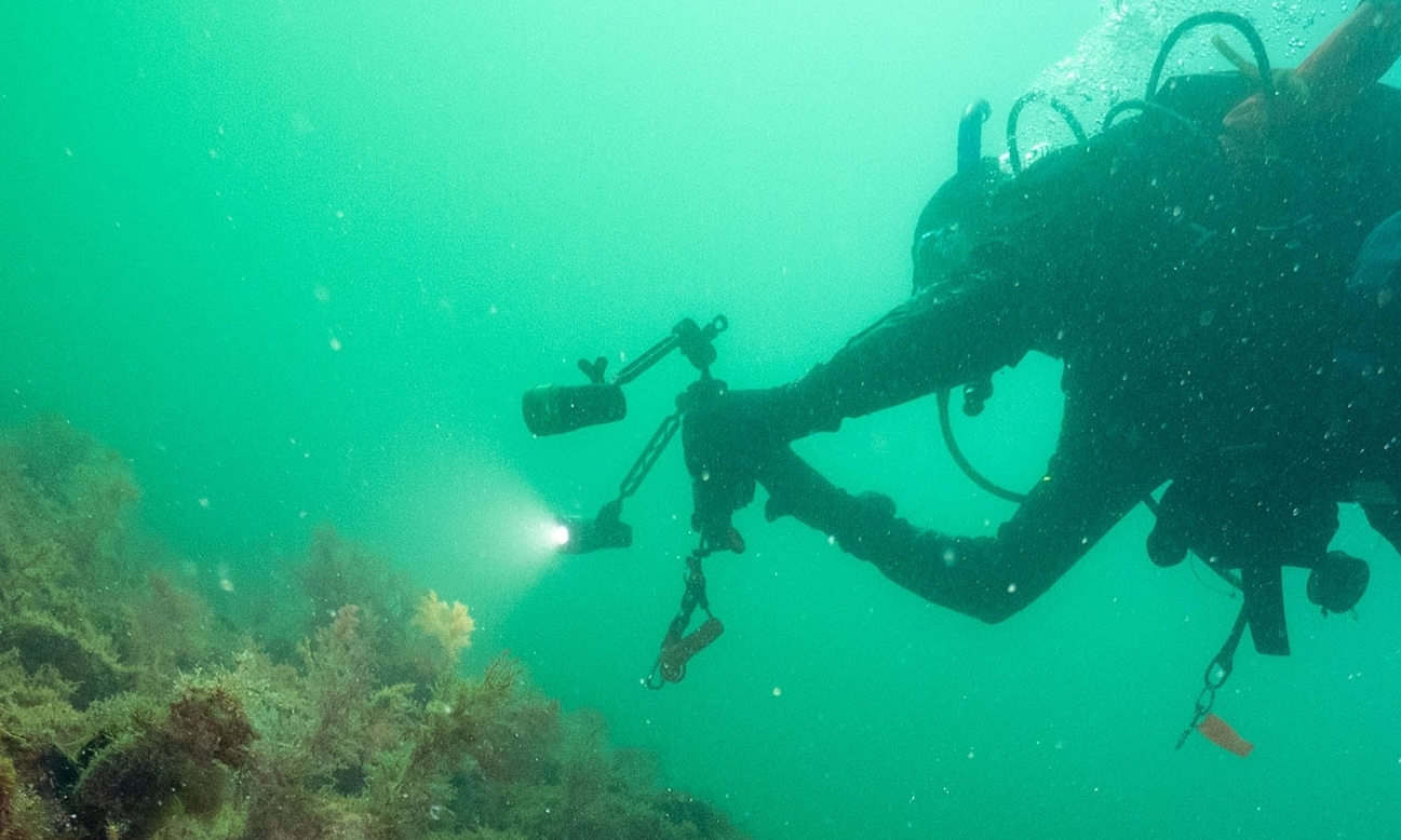Diver underwater reviewing a shellfish reef