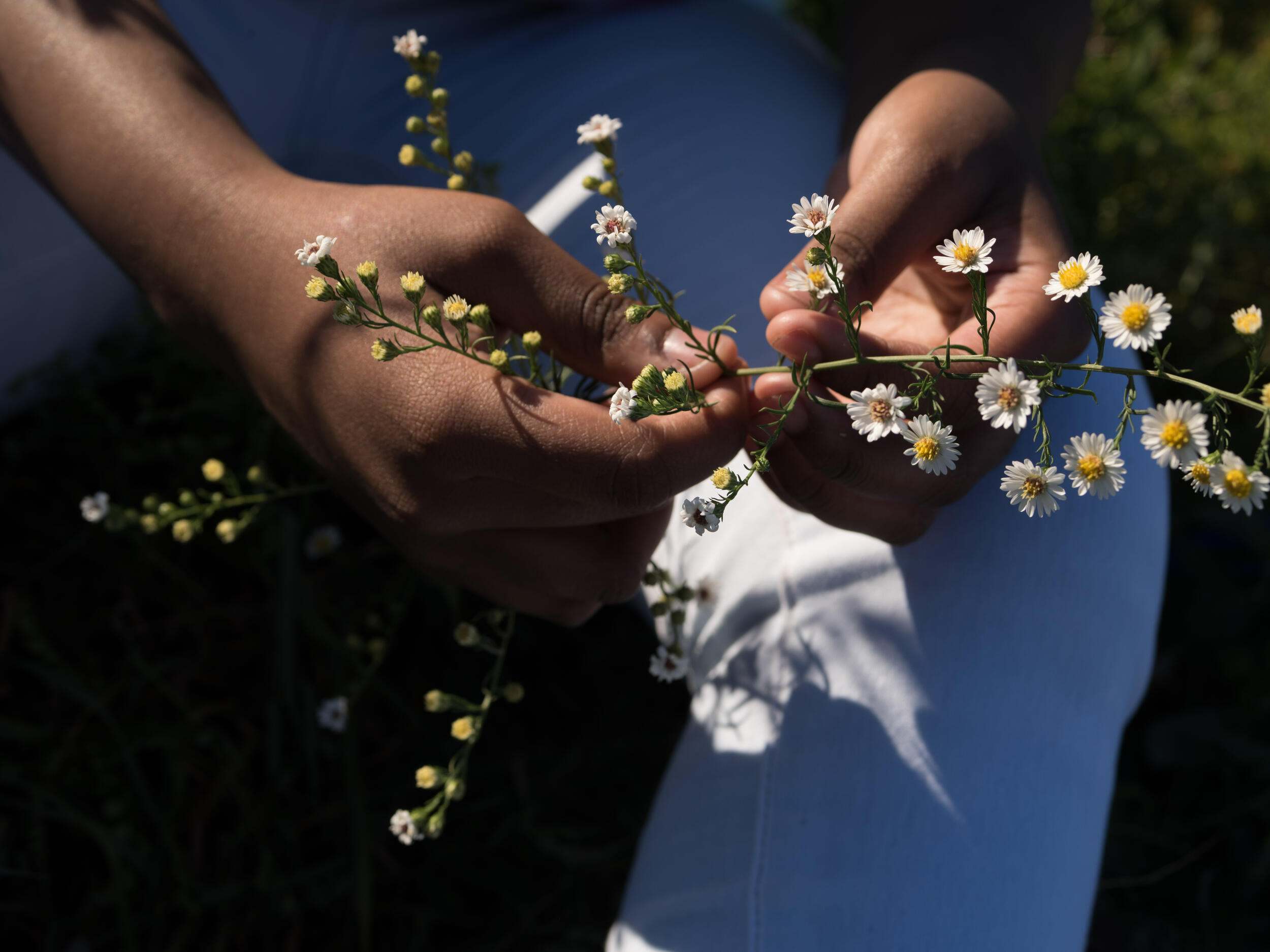 Hands holding flowers 