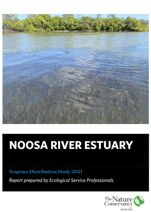 Noosa River Seagrass Executive Summary