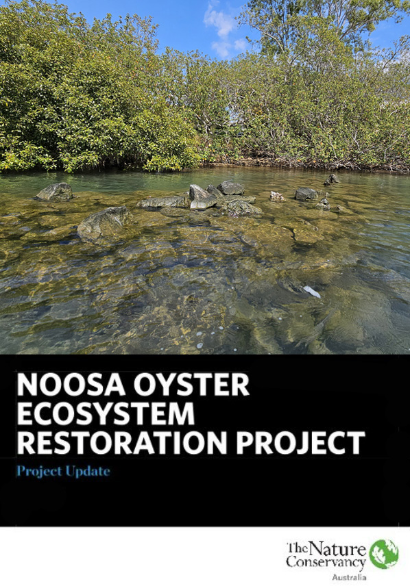 Noosa Huon Mundy Reefs Performance Update - Summer