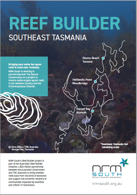 NRM South is working in partnership with The Nature Conservancy on a project to restore native Angasi oyster reefs in the Derwent Estuary and the D’Entrecasteaux Channel.