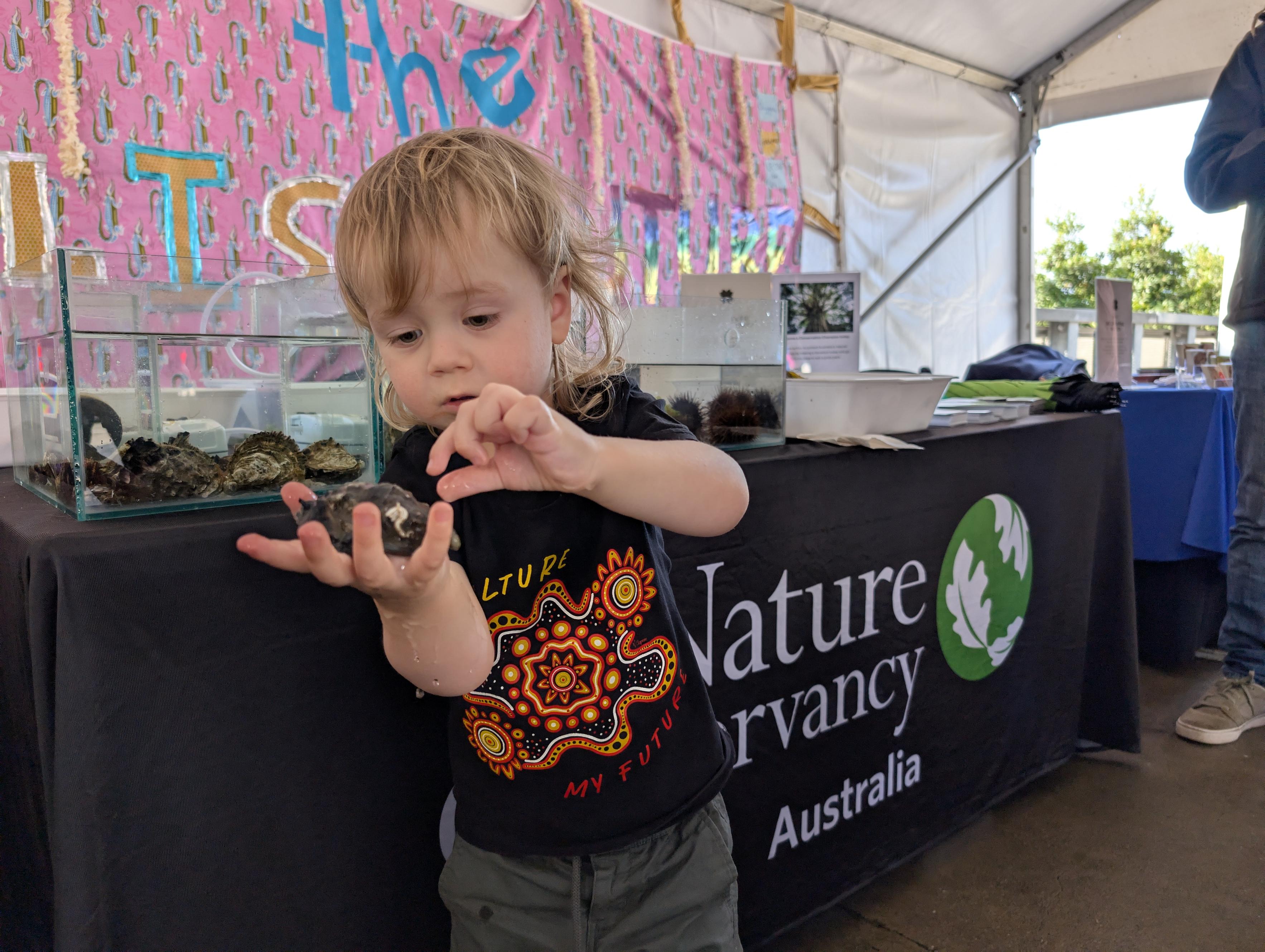 A child holding and observing an oyster