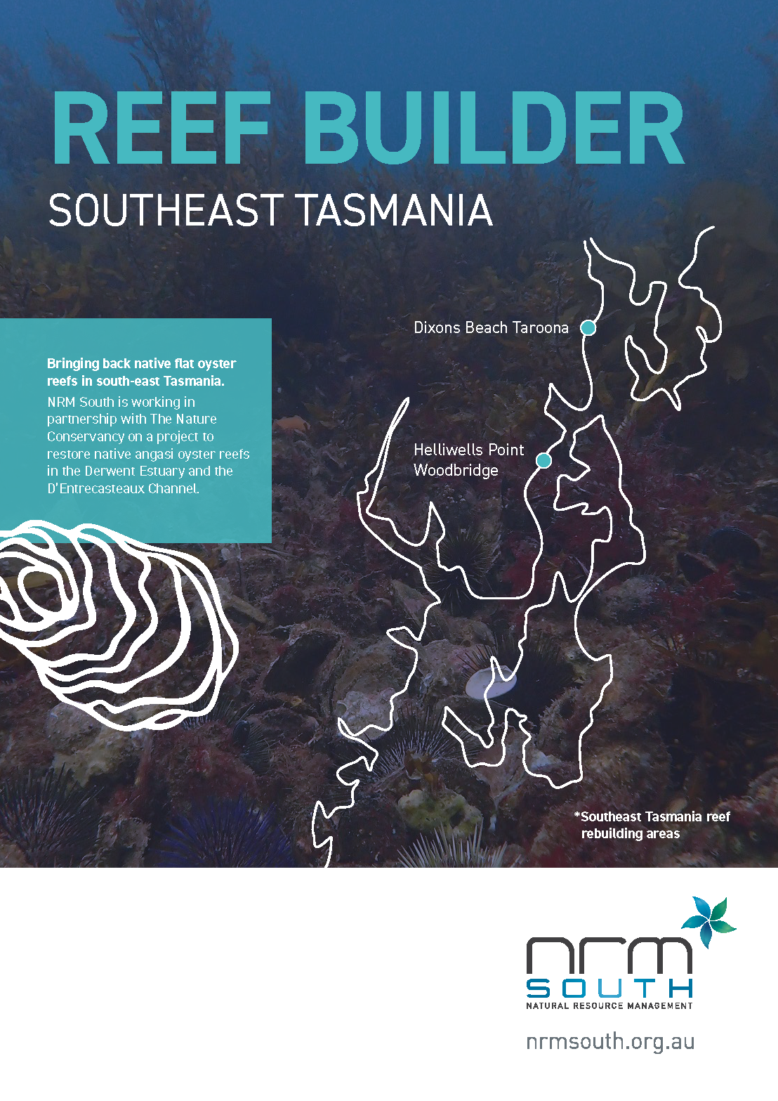 NRM South is working in partnership with The Nature Conservancy on a project to restore native Angasi oyster reefs in the Derwent Estuary and the D’Entrecasteaux Channel.